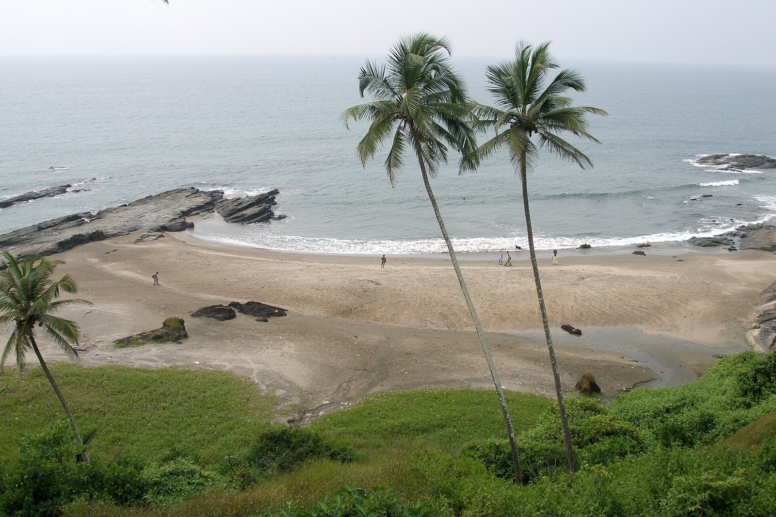 Goa beach with palm trees